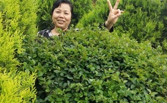 巜疯狂的少妇4做爰